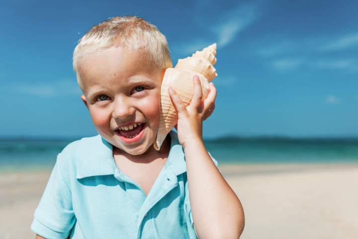Une équipe de spécialiste - Béziers et Pézenas